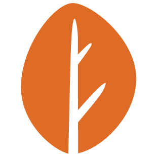 October CMS